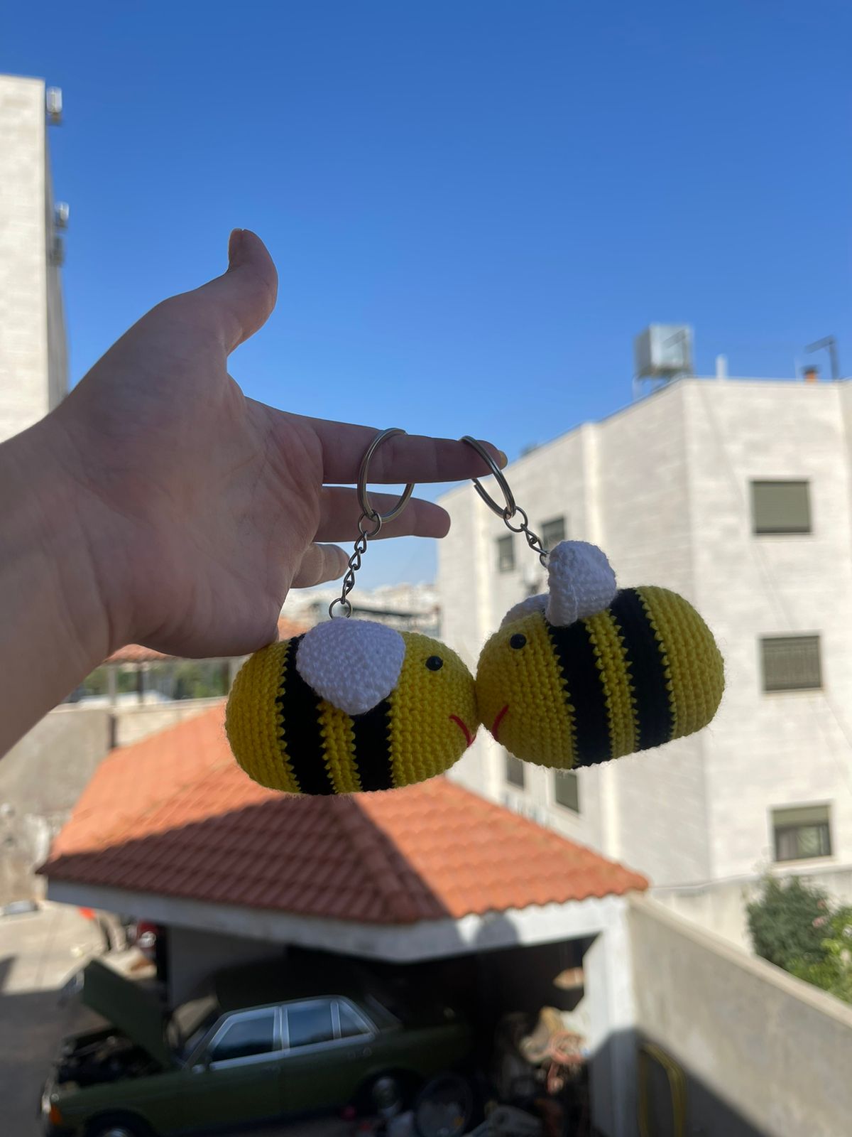 Bees magnetic matching keychain set