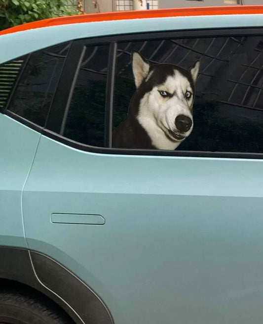 dog car sticker