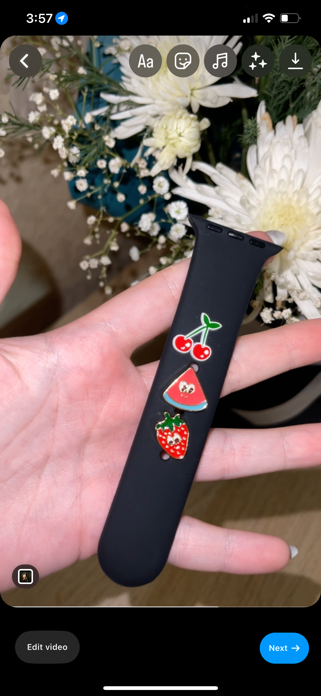 WaterMelon Apple watch band charm