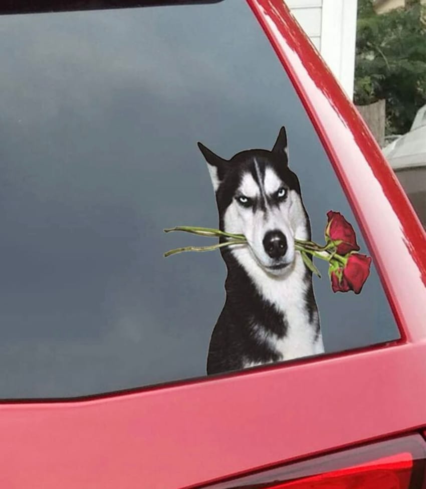 dog holding roses car sticker