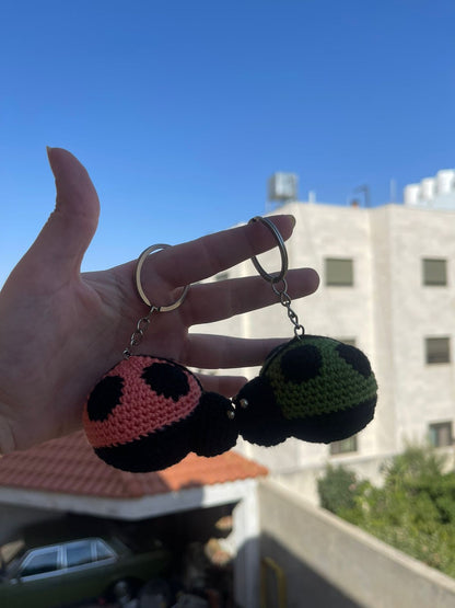 Ladybugs magnetic matching keychains set