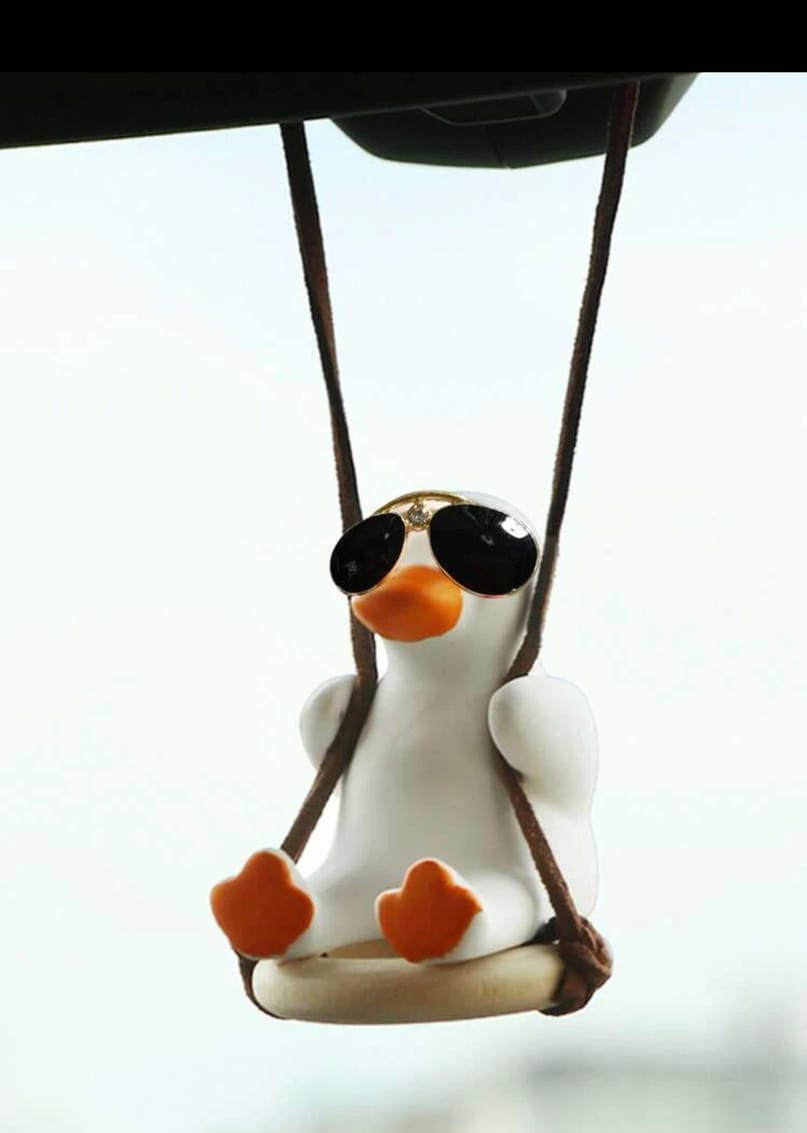 Swinging duck with sunglasses