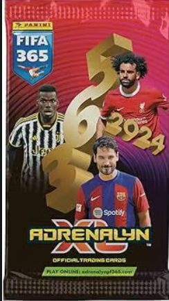 Fifa 2024 cards