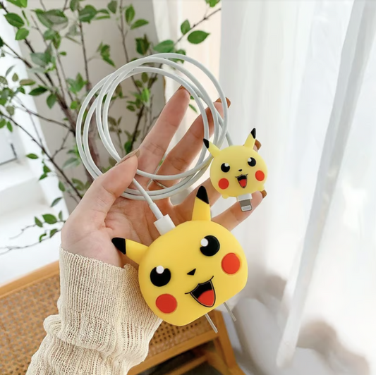 Pokémon charger protector