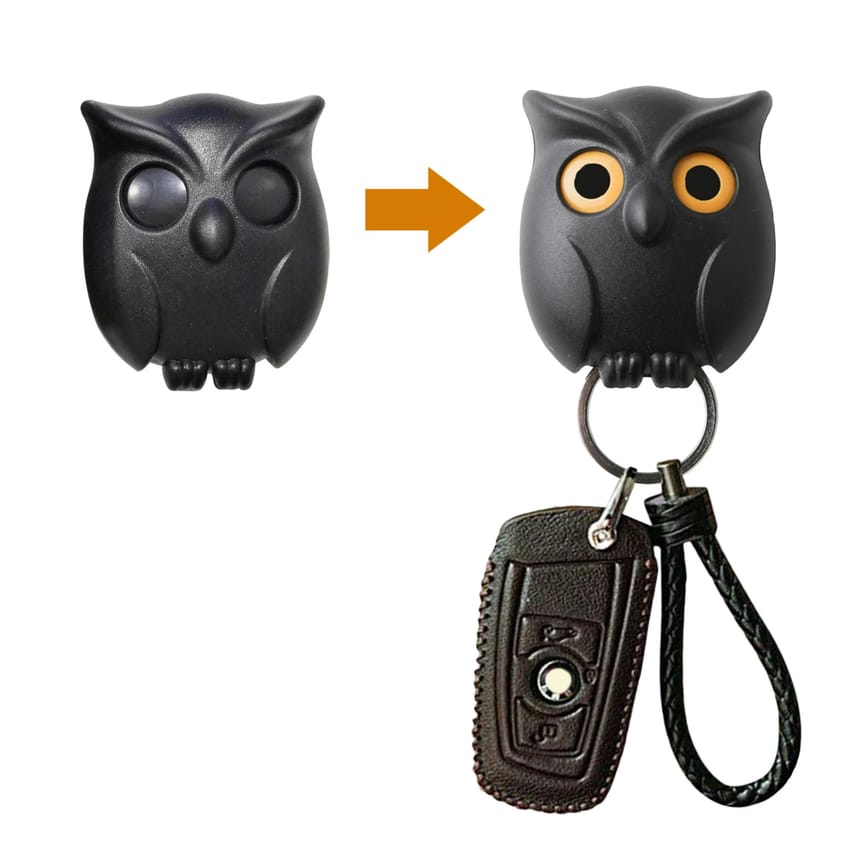 Owl key holder