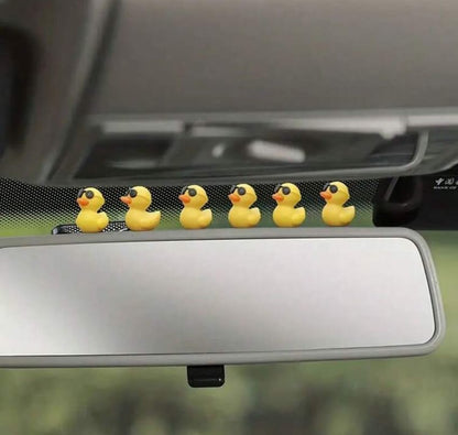 Ducks with sunglasses car decor