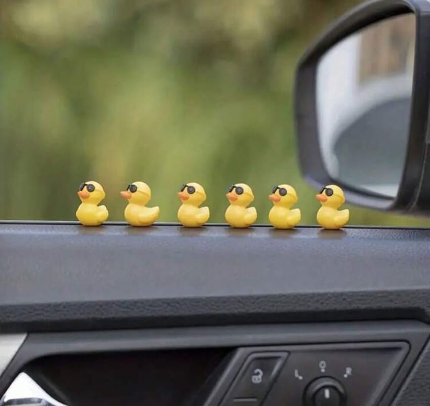 Ducks with sunglasses car decor