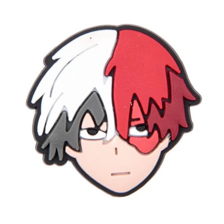 shoto todoroki charm