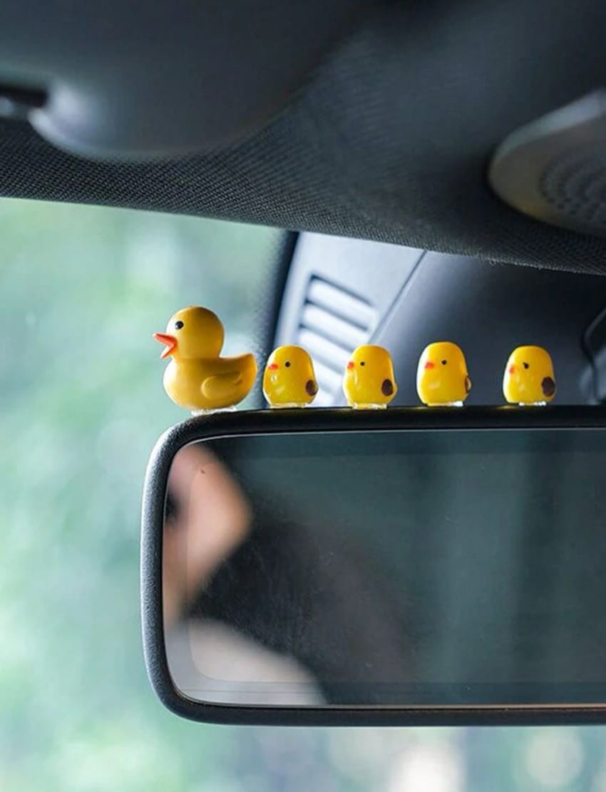 Ducks car decoration